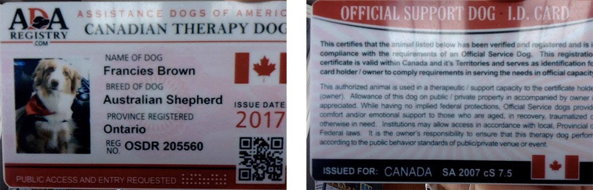 therapy dog registry